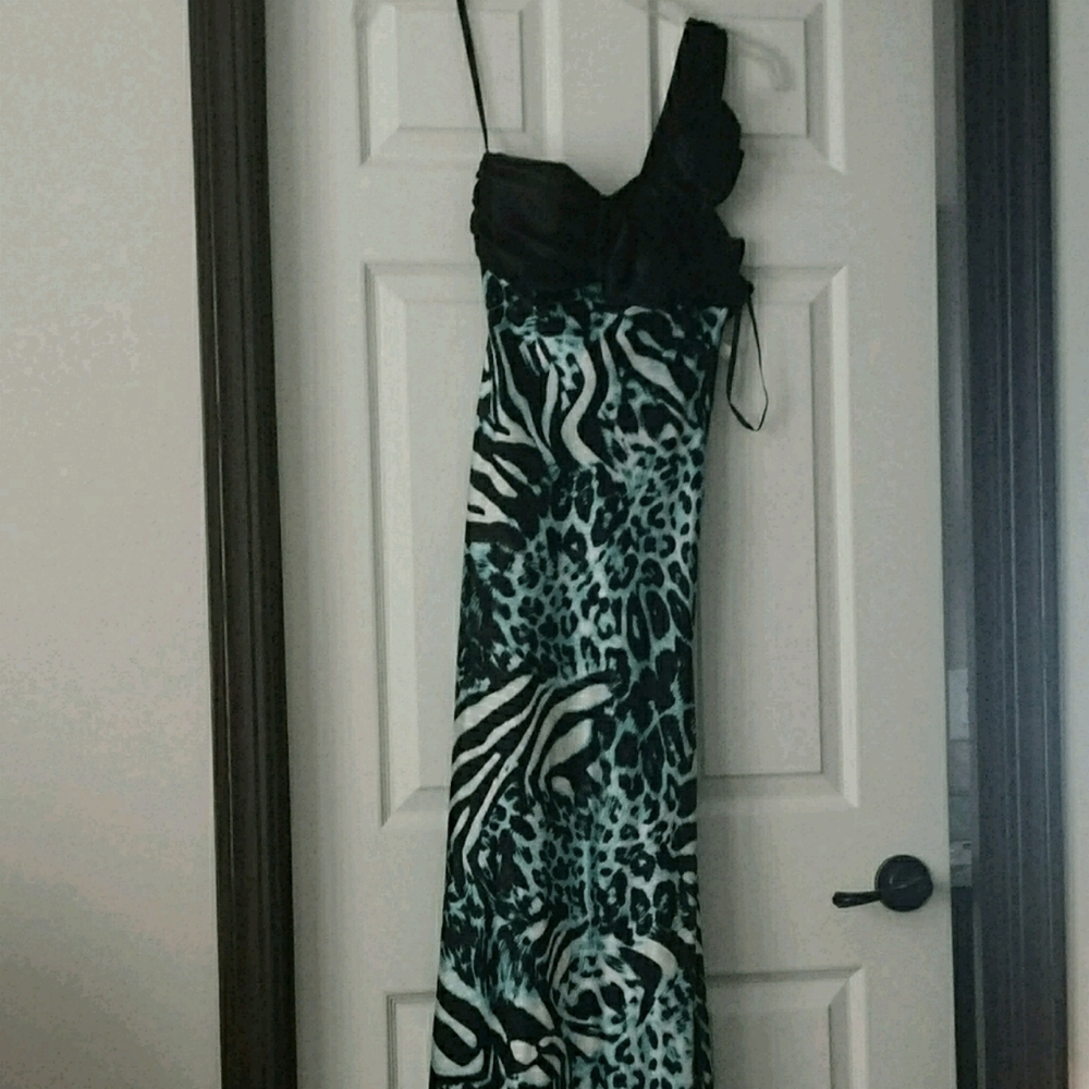 Animal Print Long Dress